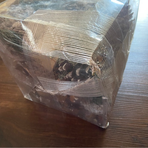 π₯CLOSET CLEAR OUT!π₯NEW Pottery Barn Winter Spruce Potpourri - Picture 5 of 6